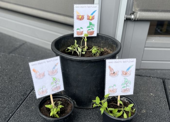 obvestila/0f9d05b84a14dd6c73ac42961e63df53--kopija