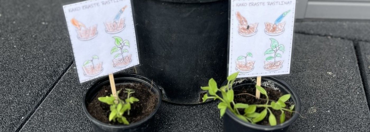 obvestila/0f9d05b84a14dd6c73ac42961e63df53--kopija