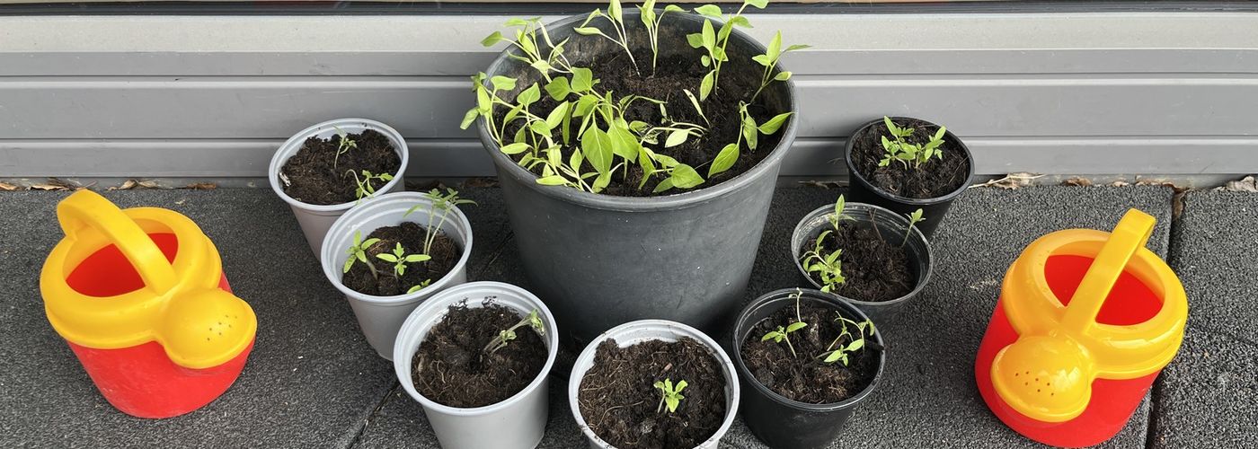 obvestila/19cfd0002fb2c254fb34b107703dddf9