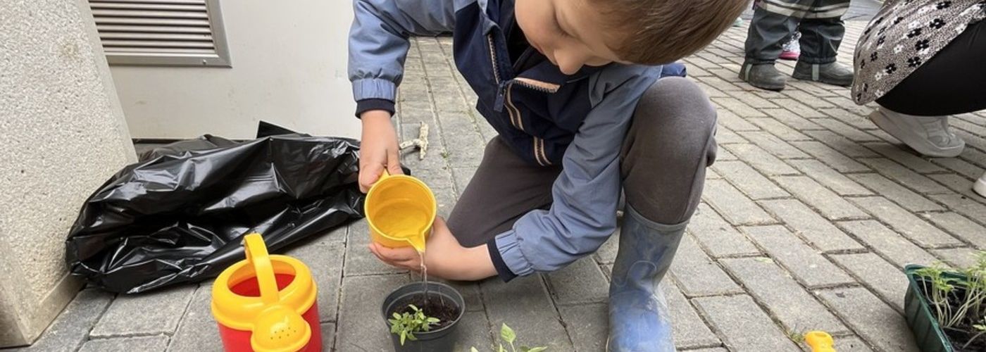 obvestila/213be1d615c5d8084f715647605fbf07--kopija