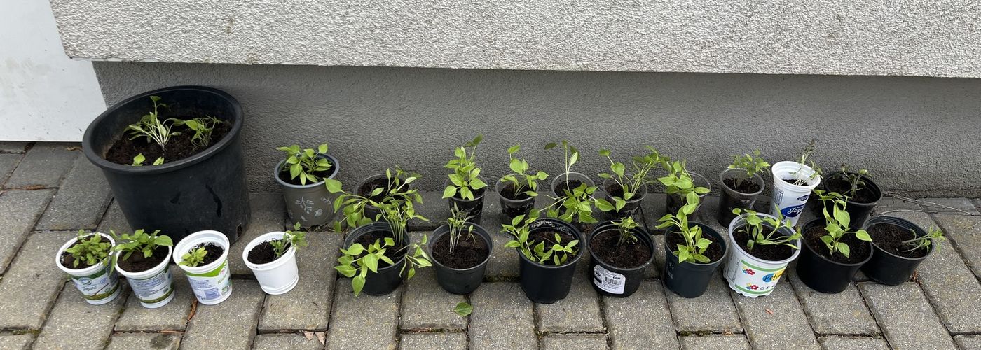 obvestila/23787856cfe2de0c726a68375a0e75cd