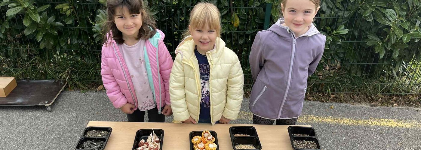 obvestila/57e0f3a1-8d28-46f5-8dd8-daf57d1ec6eb