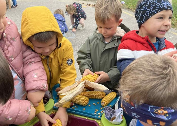 obvestila/6ae0746c-da9b-46d1-95f2-9e751df75c6b--kopija