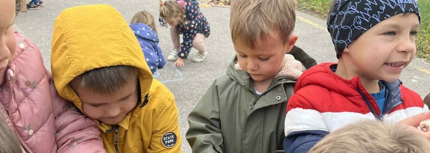 obvestila/6ae0746c-da9b-46d1-95f2-9e751df75c6b--kopija