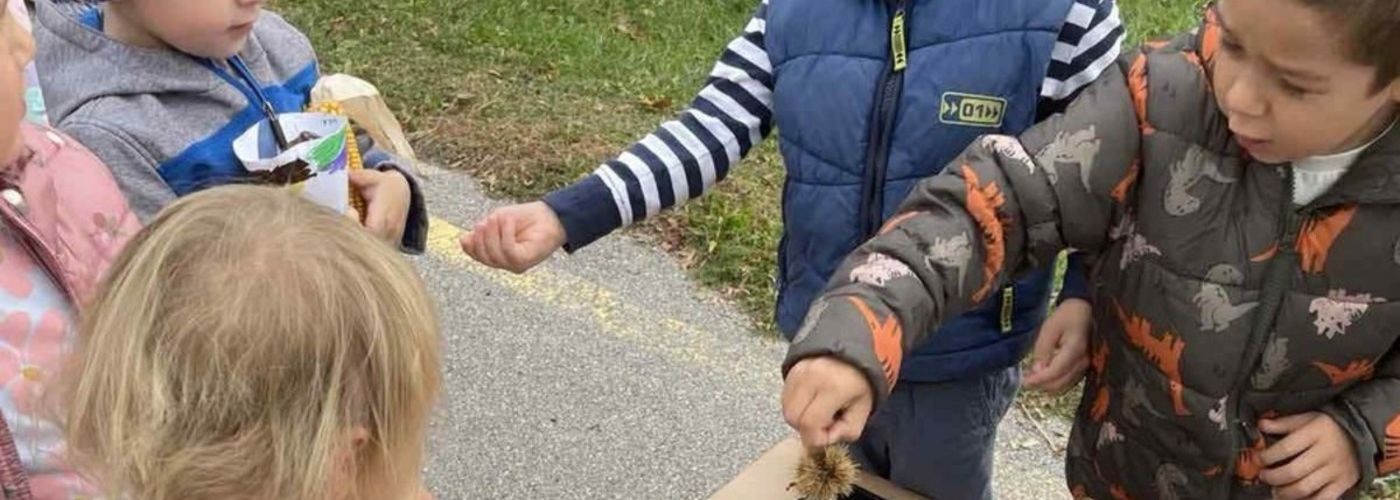 obvestila/76179370-8eca-42fc-891c-43c913eb3c2b