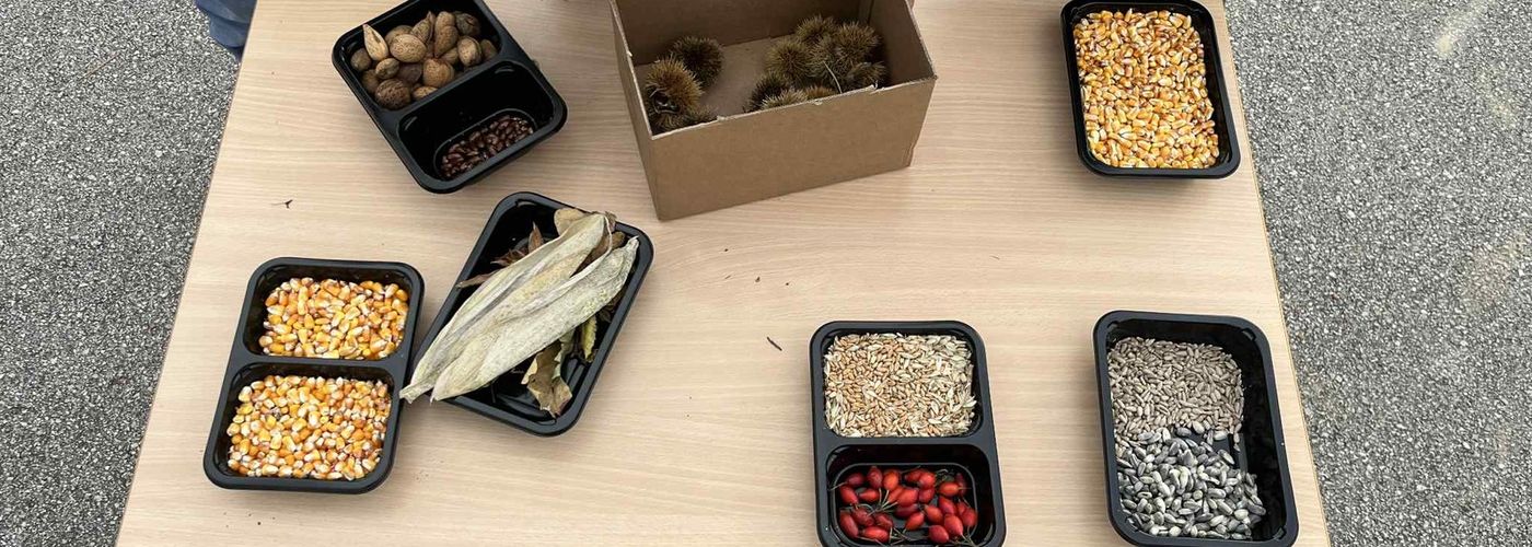 obvestila/772229cb-1501-4ded-8e9b-667eccdc92dc