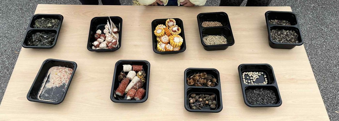 obvestila/7df10c69-7c7b-4f45-9edf-e301f40d242e