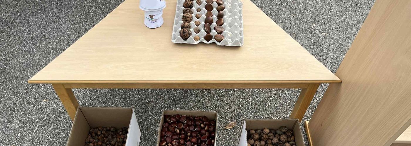 obvestila/8ee962ec-196c-4a39-8783-302948602d37