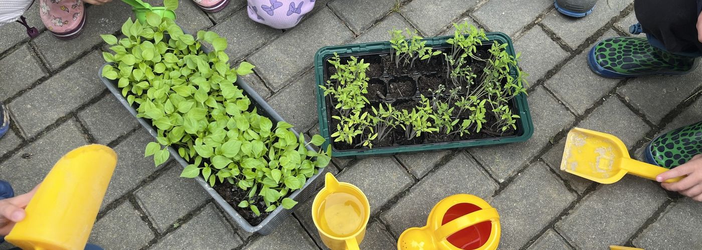 obvestila/9983656fd3caa9bc8e2d8c432dc3c273--kopija