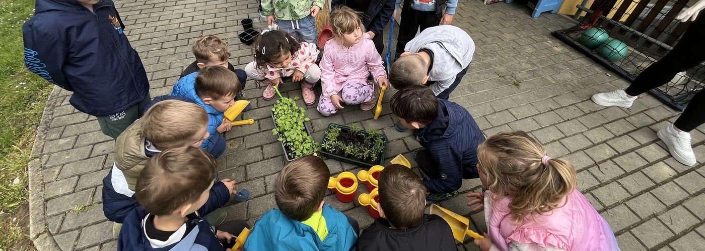 obvestila/9cd0f8b5385c51c85ded00f720c3eaf4