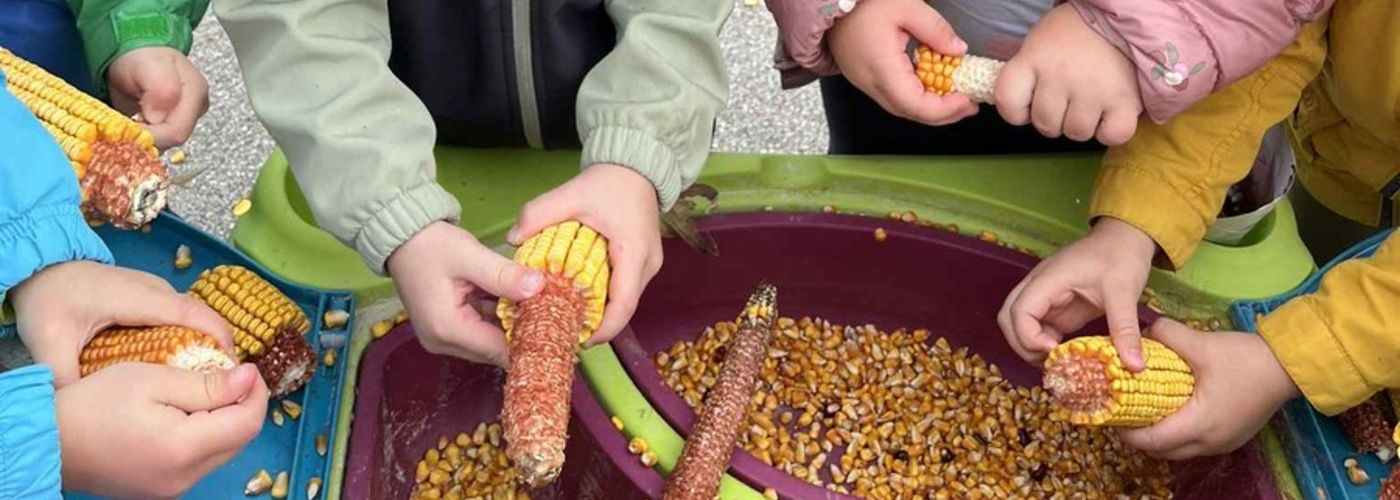 obvestila/9f5e06f8-1d97-458b-a792-de17954f9a96