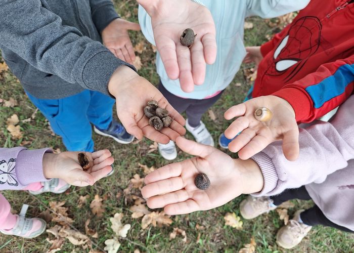 obvestila/Martjanci_skupina-Pticki-2