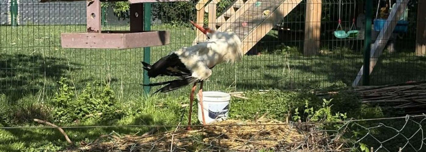 obvestila/att.vhFlSBdk2Sr5aL90AhbYN4B-hLKB46fmyh8tP_BlXpE