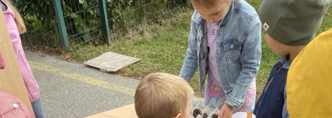 obvestila/ce5f7edd-0fa1-44fb-9fbf-ae3907a1dbbc