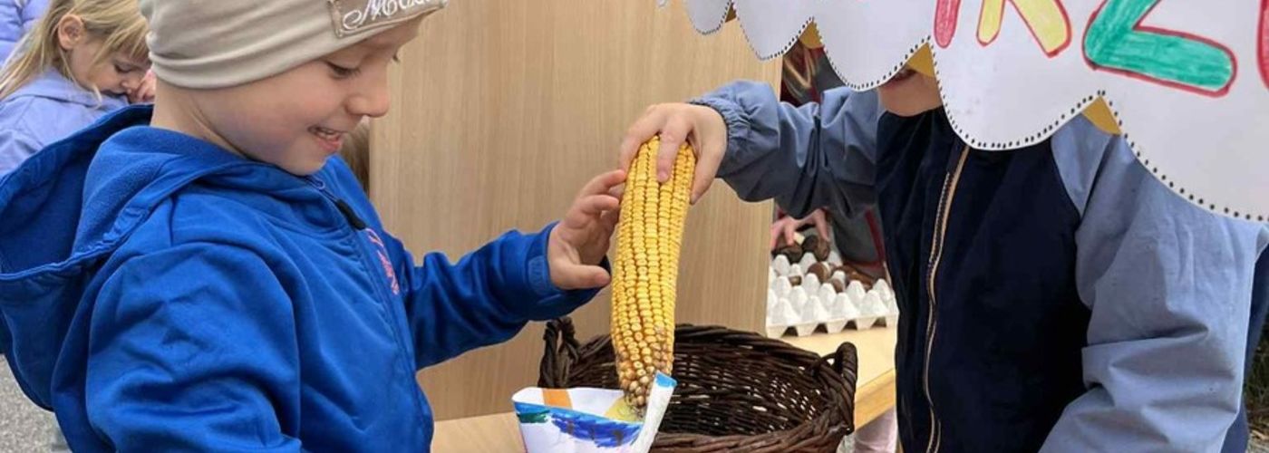 obvestila/d81beee4-f309-43c8-8b61-e37048b92016