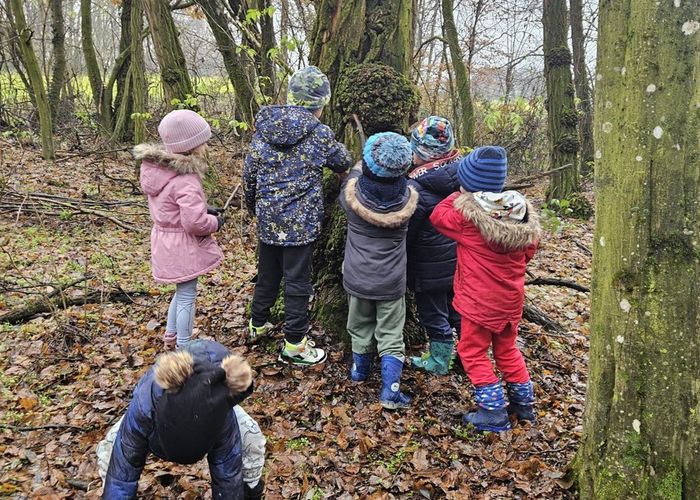 obvestila/dan-v-gozdu-17.12.2025-4