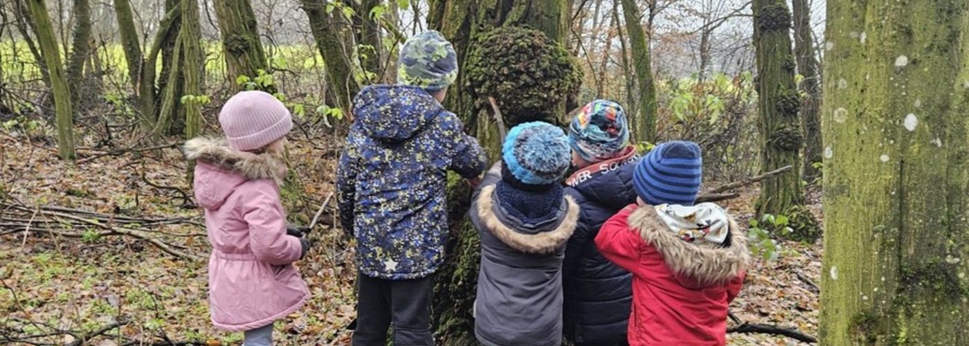 obvestila/dan-v-gozdu-17.12.2025-4