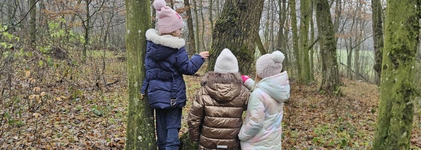 obvestila/dan-v-gozdu-17.12.2025-5