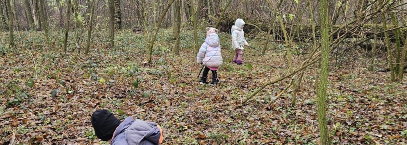 obvestila/dan-v-gozdu-17.12.2025-6