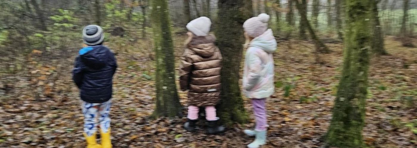 obvestila/dan-v-gozdu-17.12.2025-7