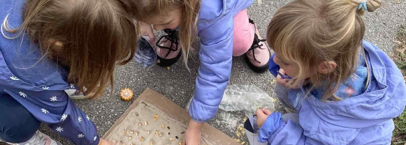 obvestila/e48d2979-ebc0-4be3-9118-e838f7e692e2