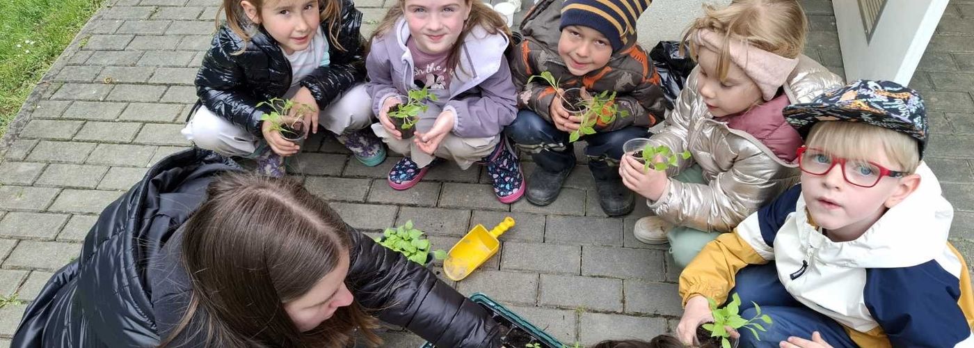 obvestila/e6199e3f9e48d3191cb29af3e69ad095--kopija