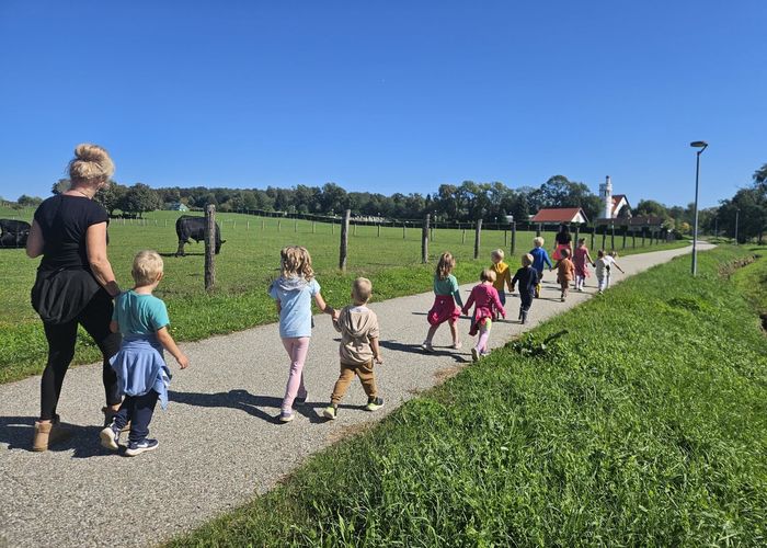 obvestila/gozdni-dan-19.9-1