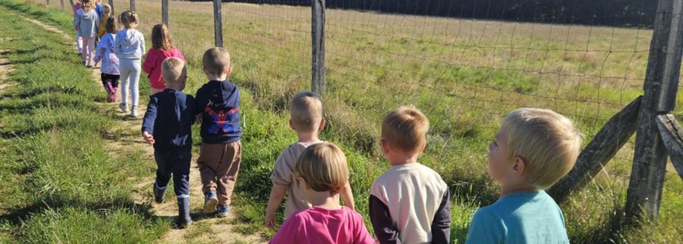 obvestila/gozdni-dan-19.9-3