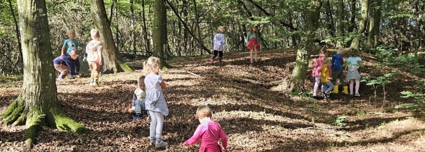 obvestila/gozdni-dan-19.9-4