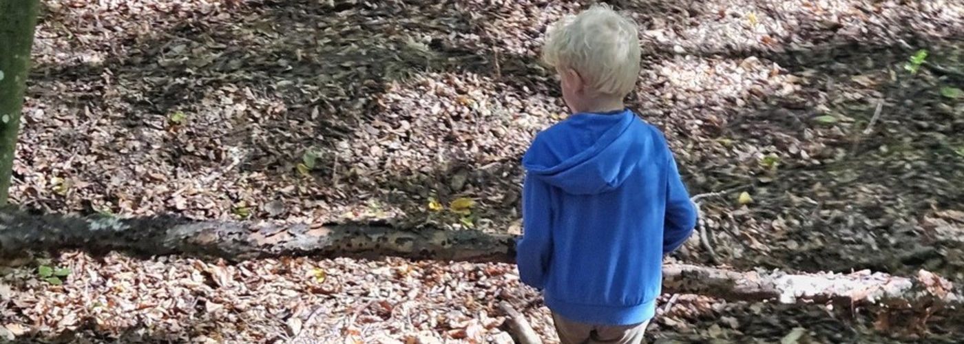 obvestila/gozdni-dan-19.9-5