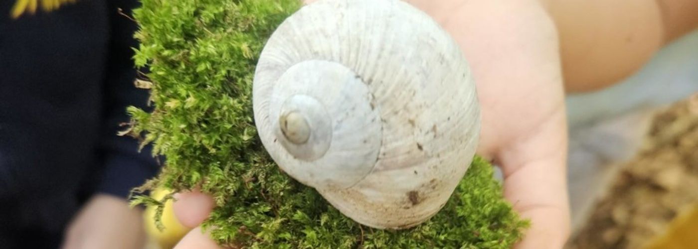 obvestila/gozdni-dan-19.9-8