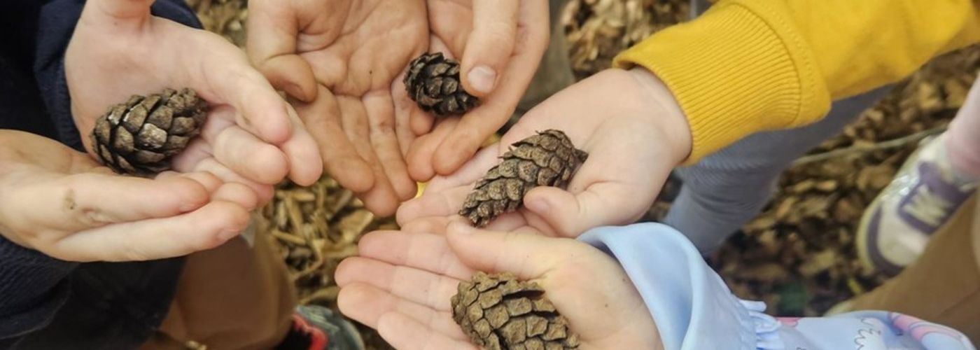 obvestila/gozdni-dan-19.9-9