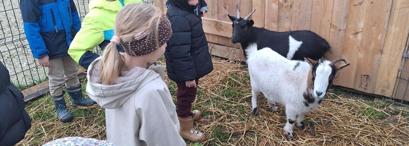 projekti/MA_pticki_tradicionalni-slovenski-zajtrk-9